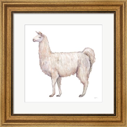 Framed Bohemian Cactus Llama Print