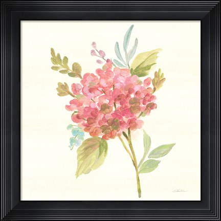 Framed Petals and Blossoms VII Print