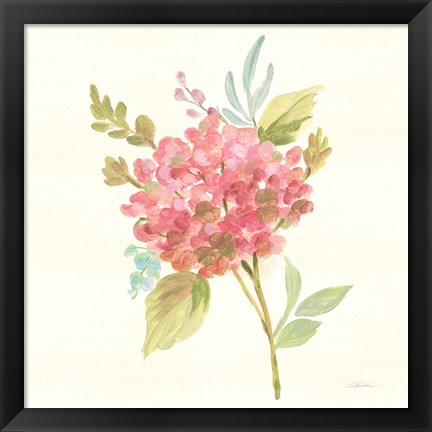 Framed Petals and Blossoms VII Print