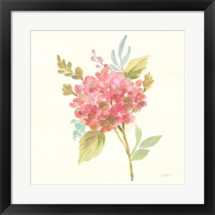 Framed Petals and Blossoms VII Print