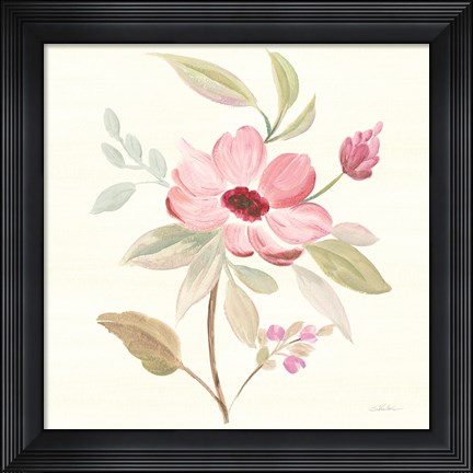 Framed Petals and Blossoms VI Print