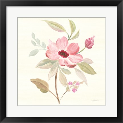 Framed Petals and Blossoms VI Print