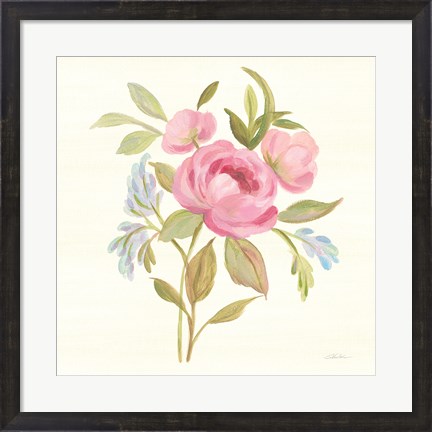 Framed Petals and Blossoms IV Print