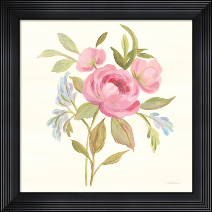 Framed Petals and Blossoms IV Print