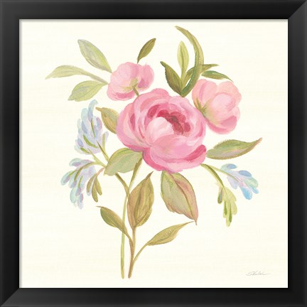 Framed Petals and Blossoms IV Print