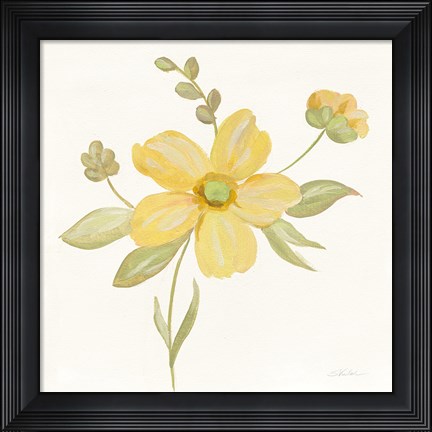 Framed June Bloom II Print