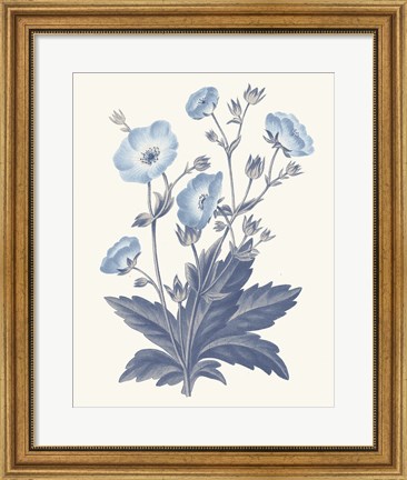 Framed Blue Botanical VI Print