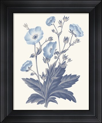 Framed Blue Botanical VI Print