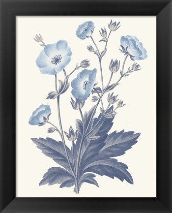 Framed Blue Botanical VI Print