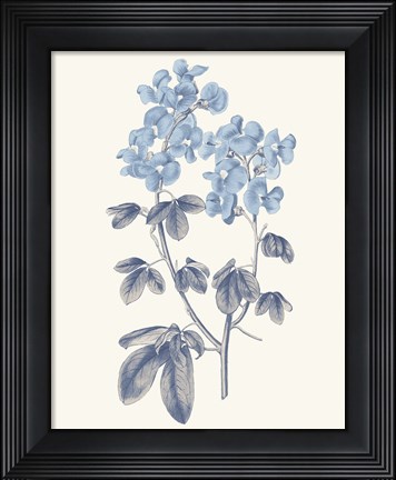 Framed Blue Botanical III Print