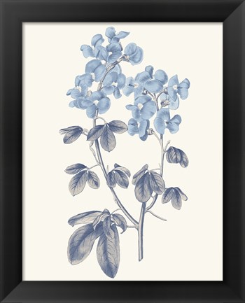 Framed Blue Botanical III Print