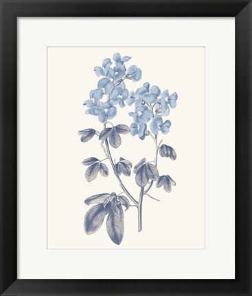 Framed Blue Botanical III Print