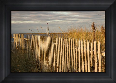 Framed Along the Fence I Print