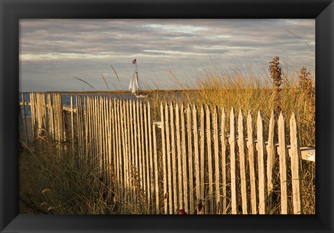 Framed Along the Fence I Print