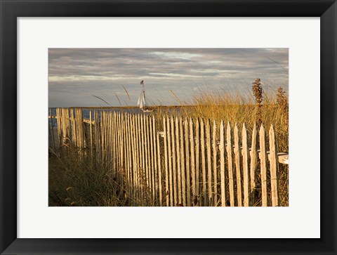 Framed Along the Fence I Print