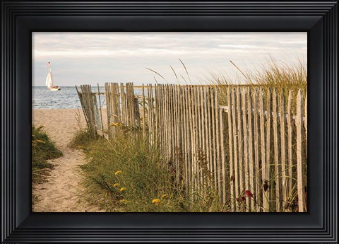 Framed Along the Fence II Print
