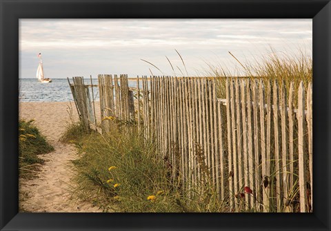 Framed Along the Fence II Print