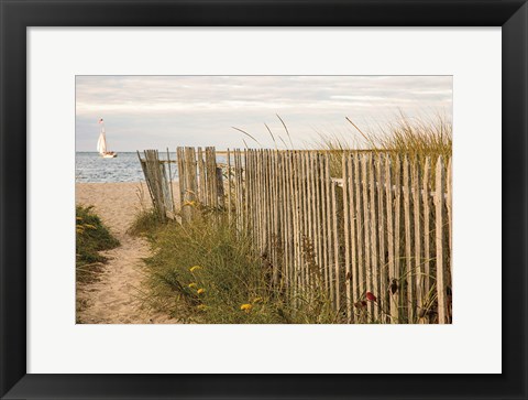 Framed Along the Fence II Print