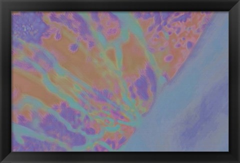 Framed Evening Soak Print