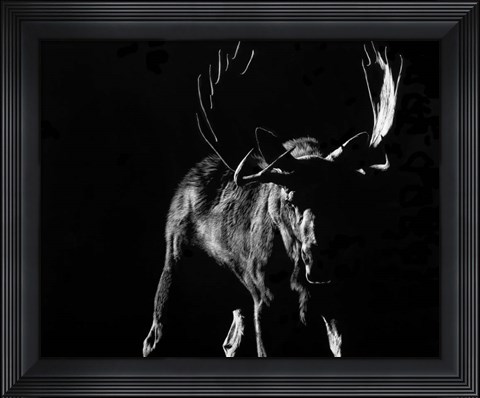Framed Bullish Print