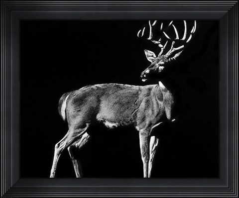 Framed Prize Print
