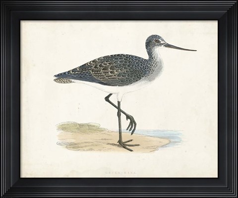 Framed Sandpiper III Print