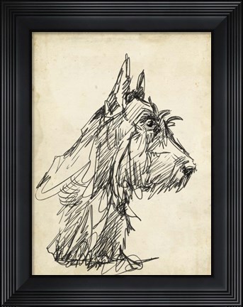Framed Breed Studies I Print