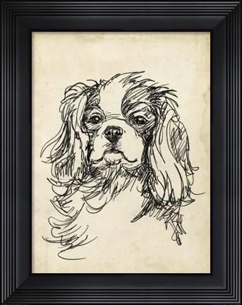 Framed Breed Studies II Print