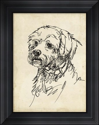 Framed Breed Studies III Print