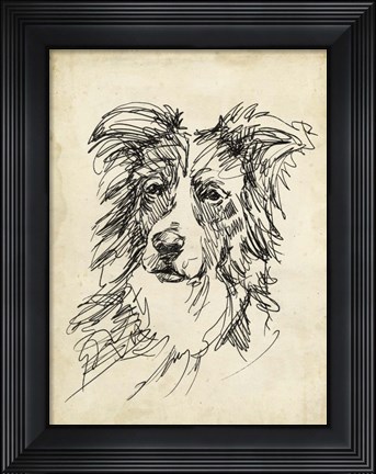 Framed Breed Studies V Print