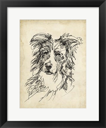 Framed Breed Studies V Print