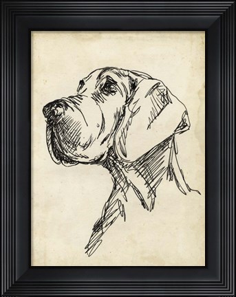 Framed Breed Studies VI Print