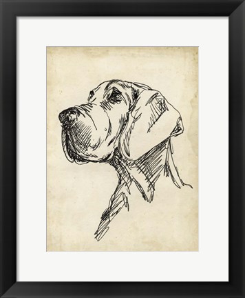 Framed Breed Studies VI Print