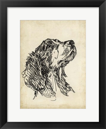 Framed Breed Studies VII Print