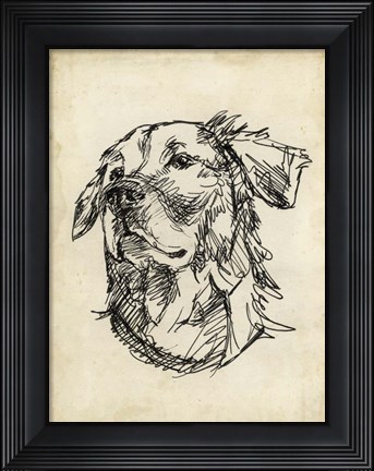 Framed Breed Studies VIII Print
