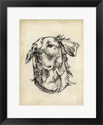 Framed Breed Studies VIII Print