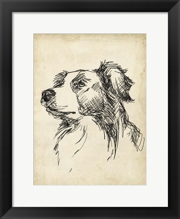 Framed Breed Studies IX Print