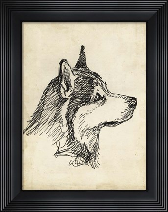 Framed Breed Studies X Print