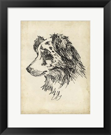 Framed Breed Studies XI Print