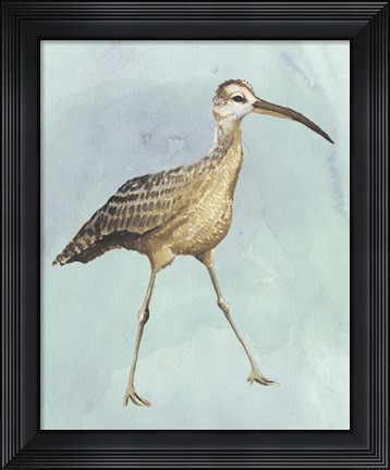 Framed Watercolor Beach Bird II Print