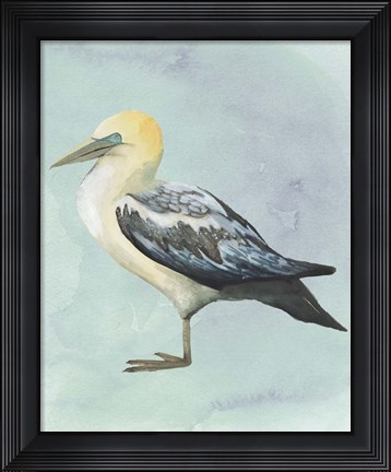 Framed Watercolor Beach Bird III Print