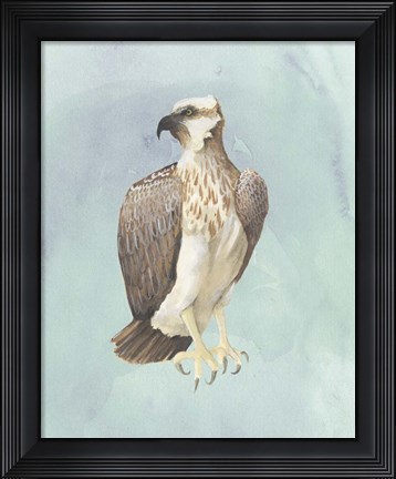 Framed Watercolor Beach Bird IV Print