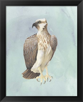 Framed Watercolor Beach Bird IV Print