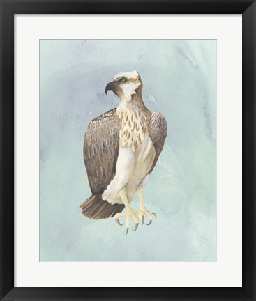 Framed Watercolor Beach Bird IV Print