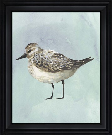 Framed Watercolor Beach Bird V Print