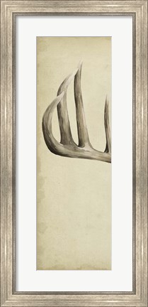 Framed Triptych Whitetail I Print