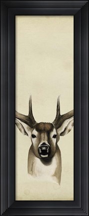 Framed Triptych Whitetail II Print