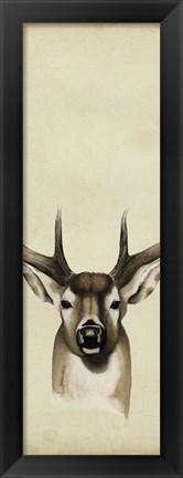 Framed Triptych Whitetail II Print