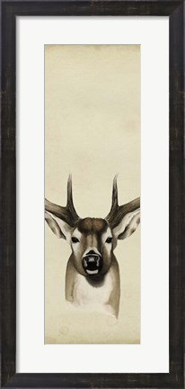 Framed Triptych Whitetail II Print