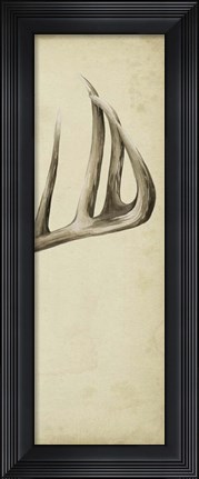 Framed Triptych Whitetail III Print